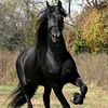 user9601231905824
