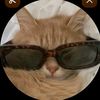 lailamohammed483