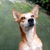 chachi.013oin