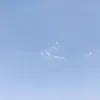 nothinv05