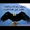 user4099248714777
