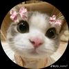 md.mostak778