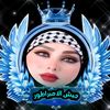 tamara.mohamed029