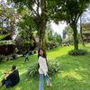 amirah_zahira_aulia
