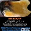 husein8816