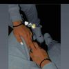 eduardo66854196