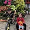 alfarizqi.hanan