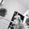 itx.young.farouk