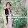 mojtaba.gz