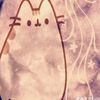 pusheen_497