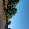 adm5682828
