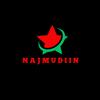 NAJMUDIIN