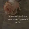 h.shahbaz94