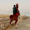 Haidar_zd