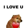 sofi_sofi209