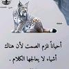 mohamed.gosrani6