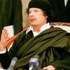 bnehmeed2005
