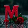 mumtaz.tanha0