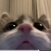 kdndnk6467