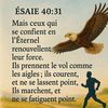 user4410821244969