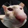 bryan_lucas14