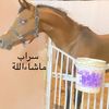 alanazi350