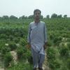 imran.ahmed.imran48