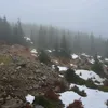 szyms.n