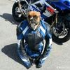 rodrigohernndez197
