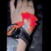 mohammed.rakib769