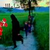 karamat.wazir13