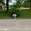 bradenbwolf