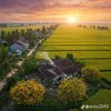 ng.ch.77
