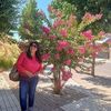 rosalavalenzuela0