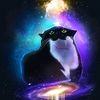 maxwellcat03