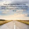 izabel.fernandes73
