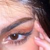 lasou221