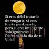 romer.lezameta.bl