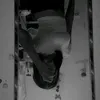 def_notshai1