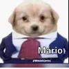 mario.alejandro205