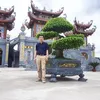 nguyn.hu.vn7