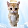 luisangel_11_10
