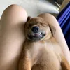 cacmenhaanhdmnhanh