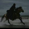 faris.ahmed377