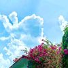 user5111260141269
