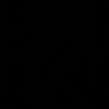 cerna1763