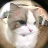 callme_to0106