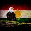 dall.kurd.10