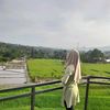 rana.lea03