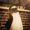 fatz_photo